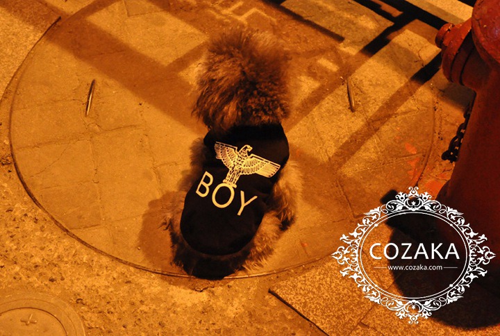 犬 洋服 boylondon