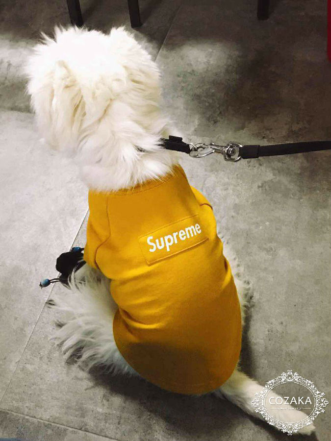 韓国 犬服 ブランド