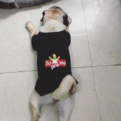 シュプリーム シンプソンズ ペット tシャツ レビュー 犬服 シュプリーム シンプソンズ レビュー