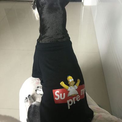 supreme simpsons ペット 洋服 レビュー 猫服 シュプリーム シンプソンズ レビュー
