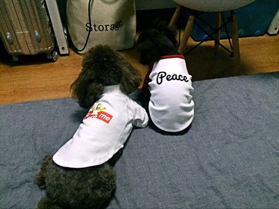 supreme simpsons 犬用tシャツ レビュー シュプリーム コラボ 犬用半袖