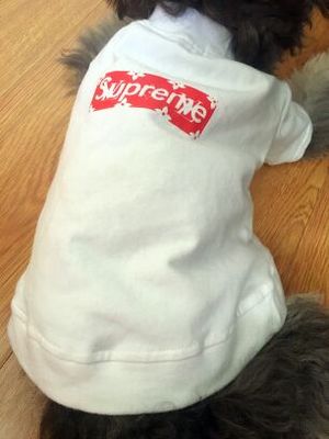 supreme LV tシャツ