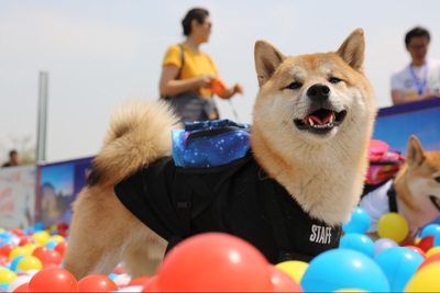 ヴェトモン tシャツ レビュー ヴェトモン tシャツ 通販