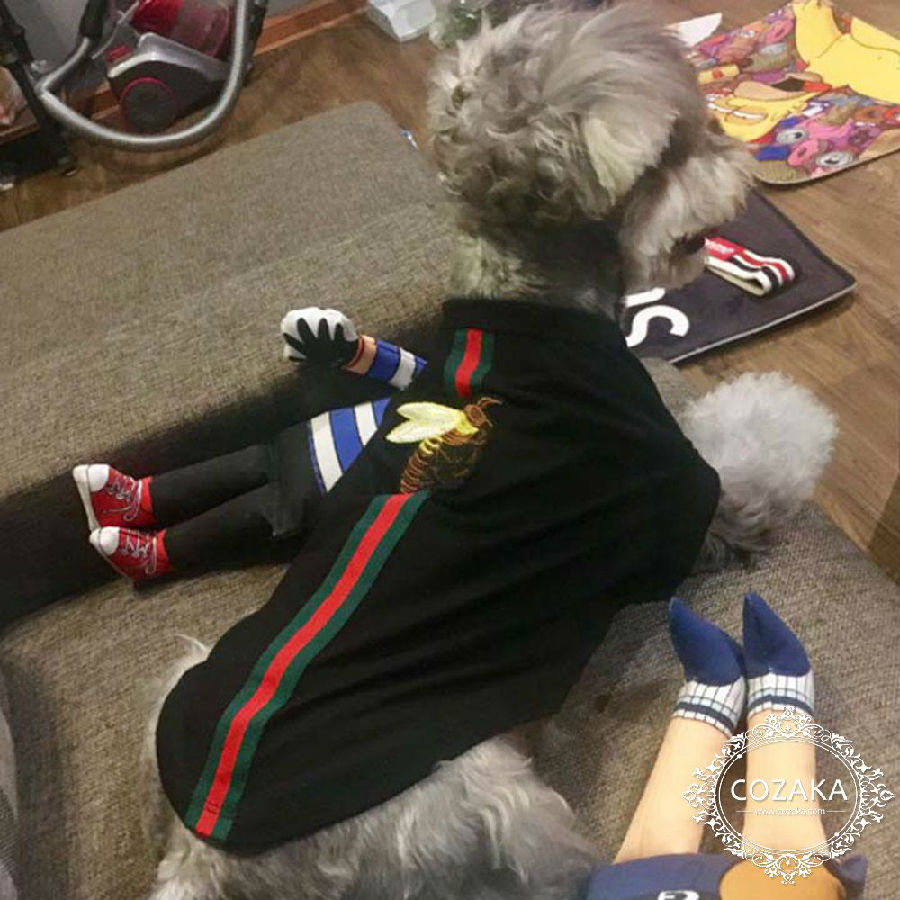 gucci エンブロイダリー付き 犬服