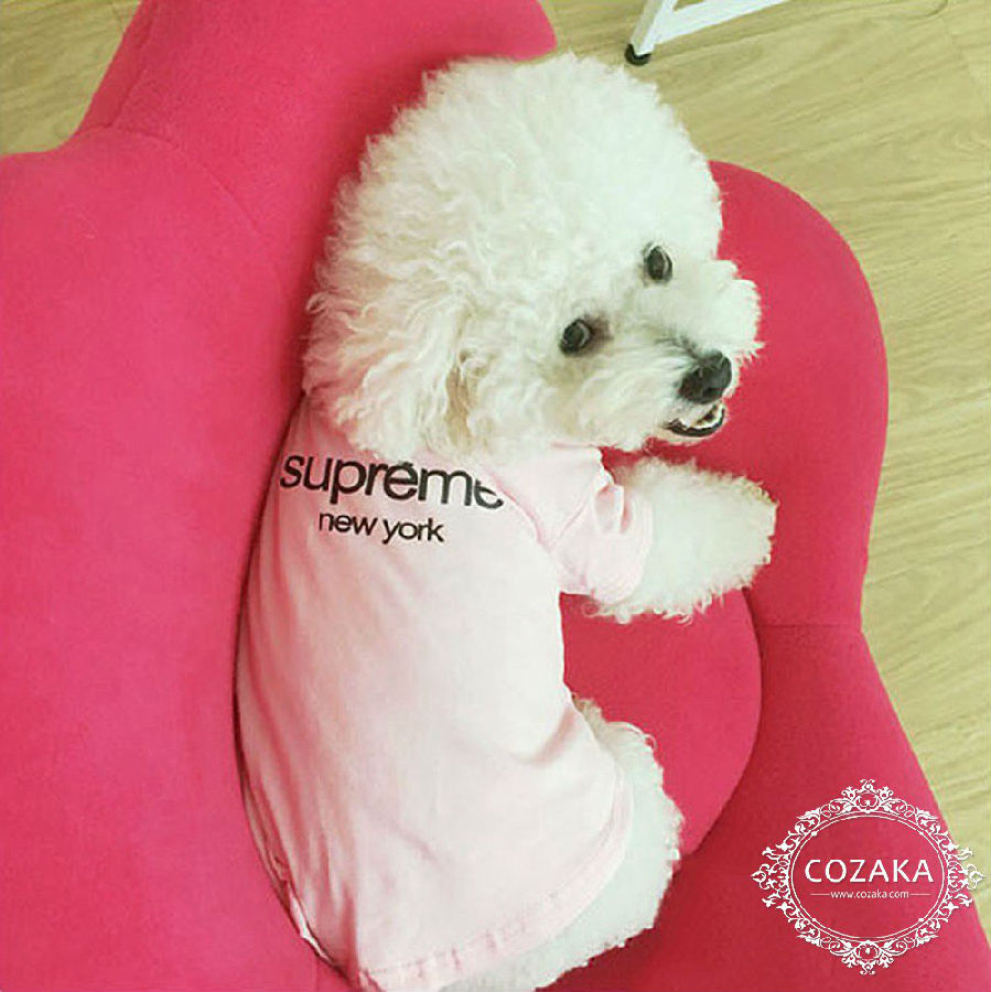 SUPREME 犬服 パグ