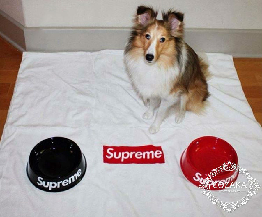 supreme ペットフードボウル