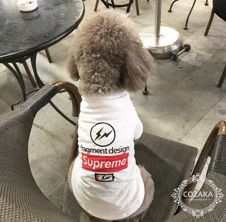 中型犬 tシャツ 親子服