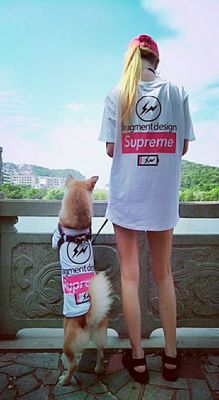 supreme フラグメントデザイン 犬服