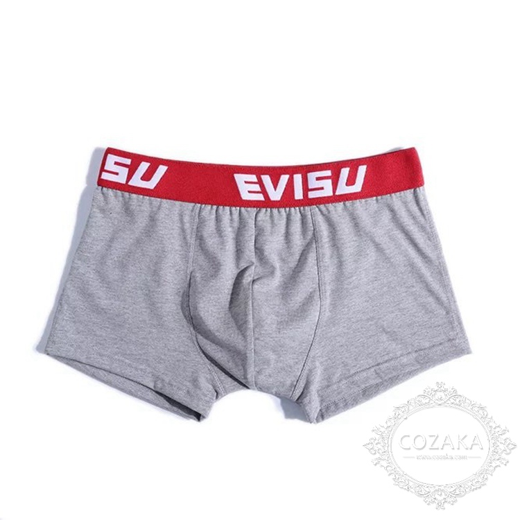 有名人愛用 ボクサーパンツ evisu