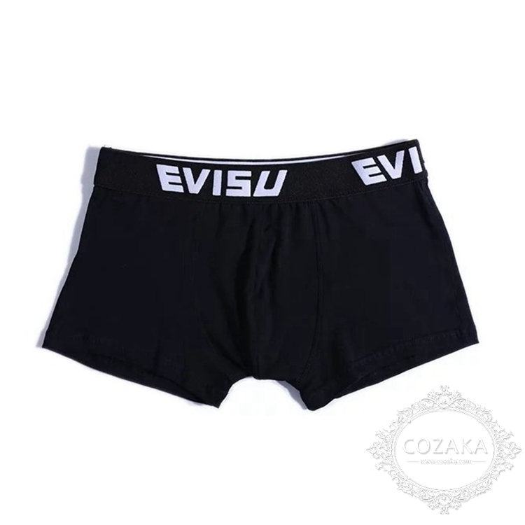 evisu ロゴボクサーパンツ メンズ,エヴィス ボクサーブリーフ おしゃれ