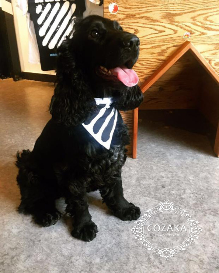 off white 犬のバンダナ かわいい