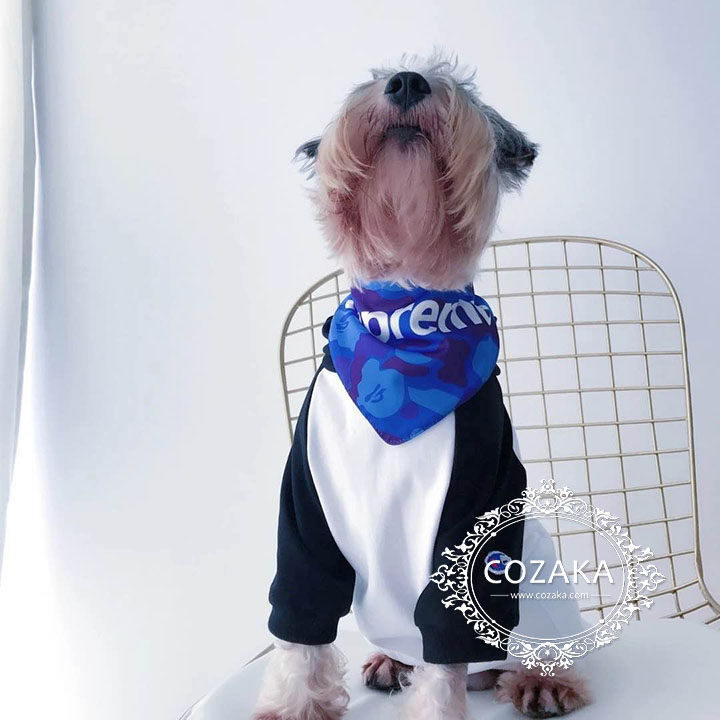 ラグランtシャツ 小型犬洋服 CHAMPION