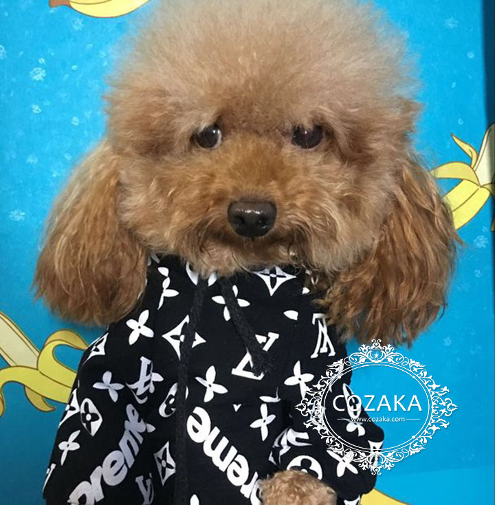 シュプリーム x ルイヴィトン 犬服 パーカー,supreme x lv 犬用フーディー