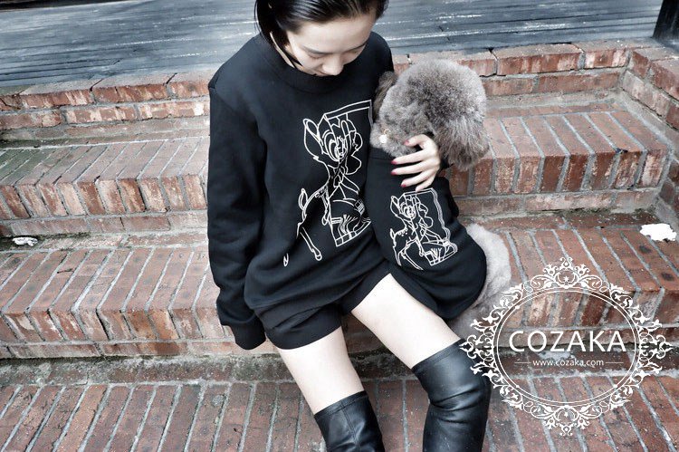 ジバンシー スウェット 犬服