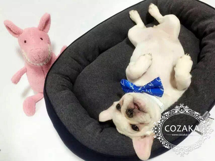 COZAKA 猫用ベッド かわいい