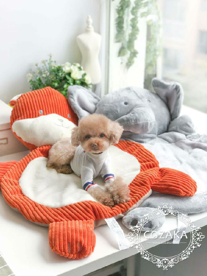 ふんわり 犬用ベッド 韓国