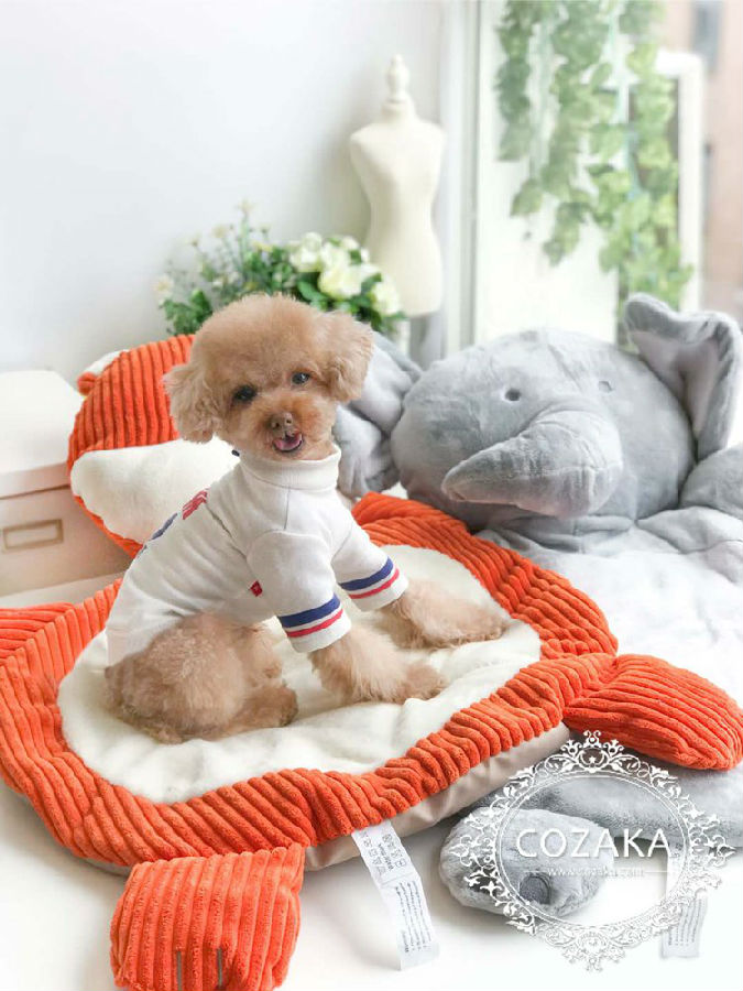 中型犬用ベッド 韓国 かわいい