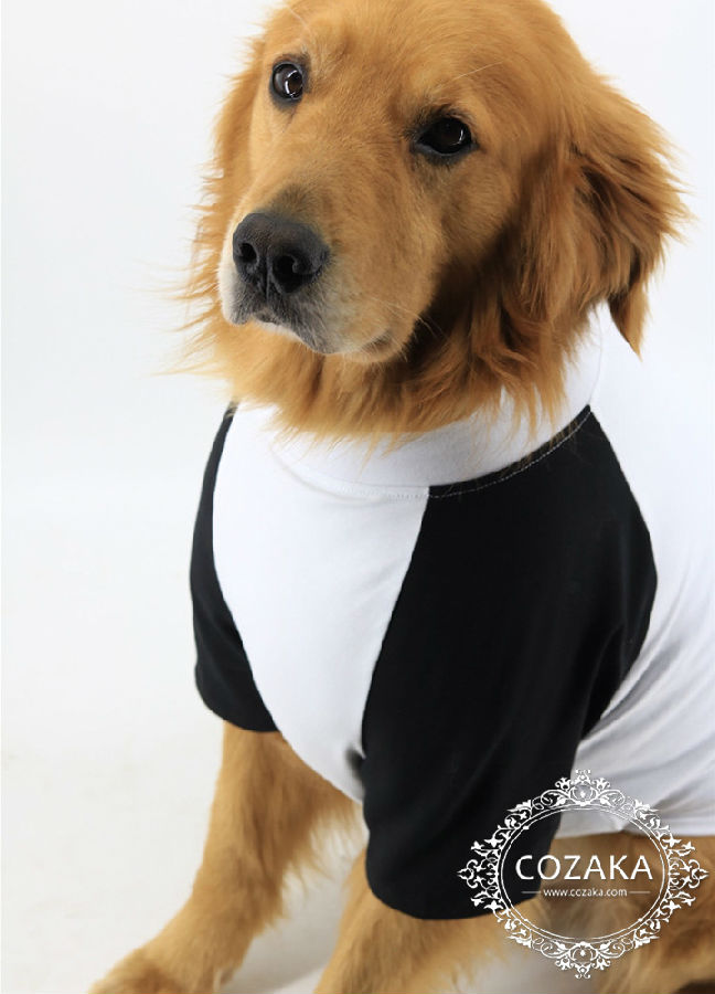 CHAMPION 犬用Tシャツ 大型犬