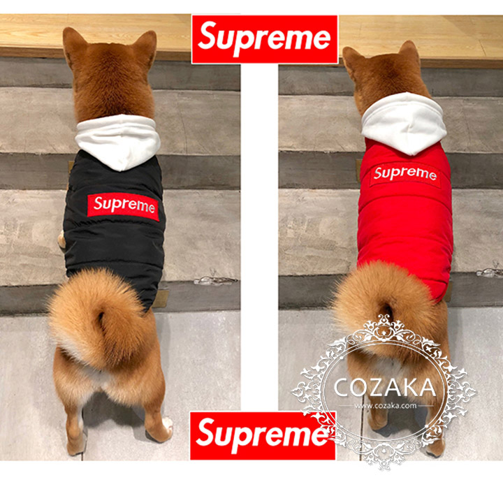 SUPREME 犬の服 冬