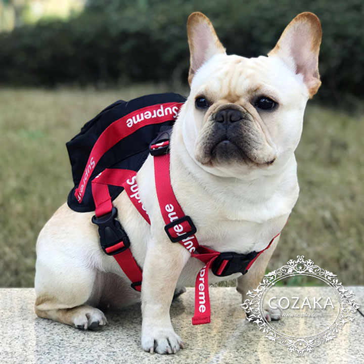 犬用 リュック オシャレ