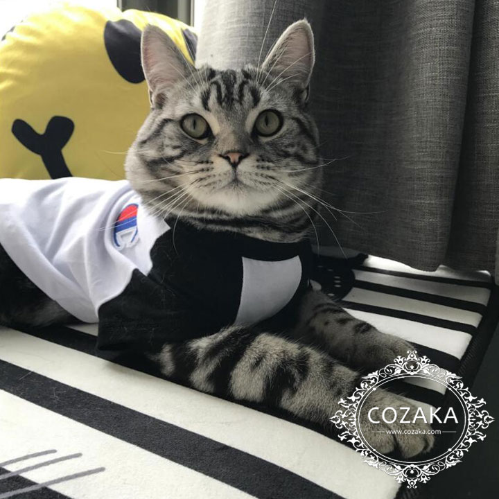 チャンピオン ロゴ付き 犬服