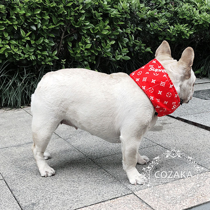 犬 涼しい ルイヴィトン