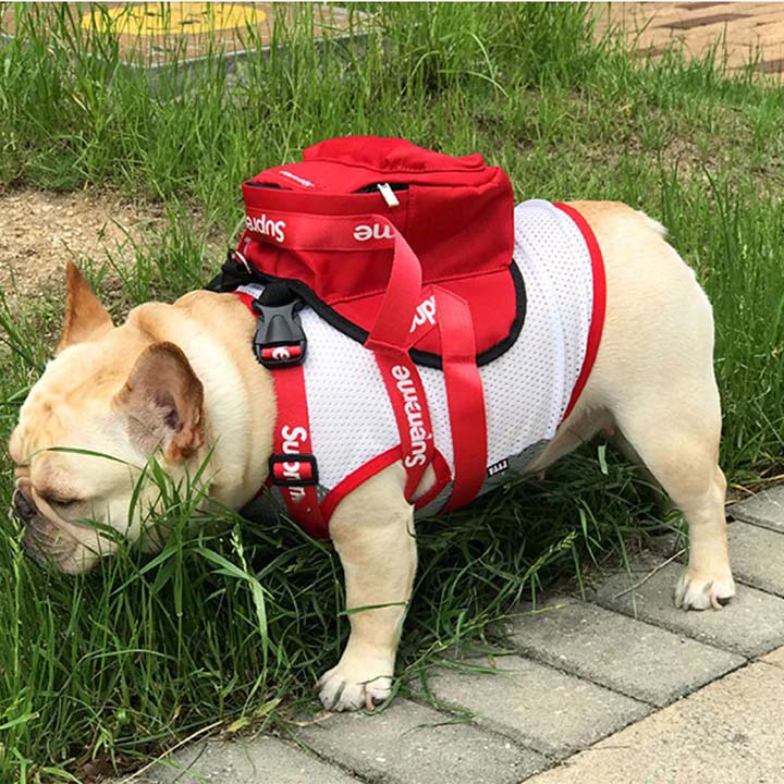 小さいリュック 犬用 可愛い