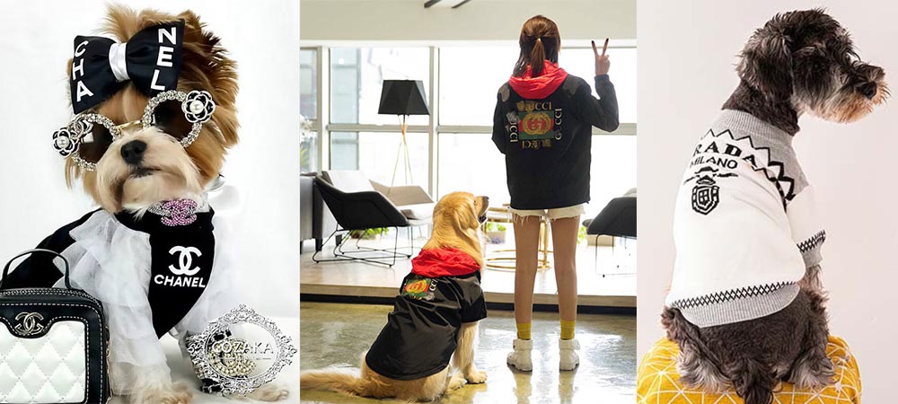 人気急上昇中の犬の冬服おすすめ人気ランキング！