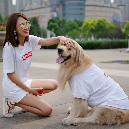 LV Supreme 犬服 Tシャツ お飼い主とペアルック