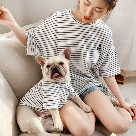  ペット ｔシャツ お飼い主とお揃い 夏モデル