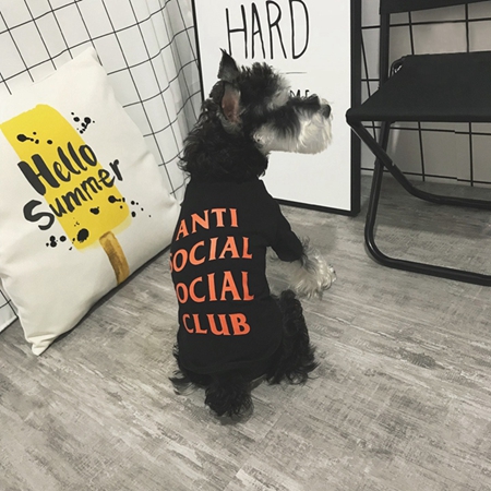 anti social social club 犬服 tシャツ お飼い主とのペアルック