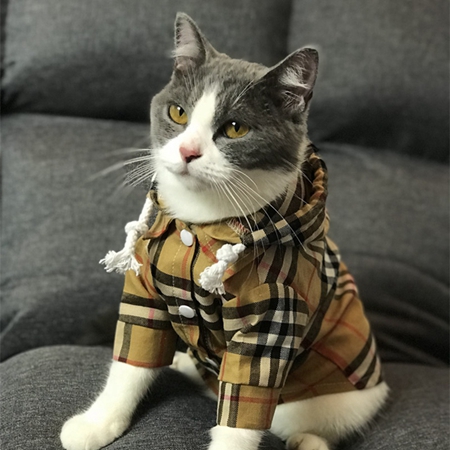 猫服 秋冬 防寒