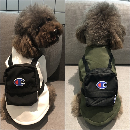 チャンピオン 犬服 可愛い