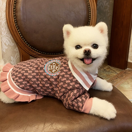 犬の服 可愛い系 秋冬