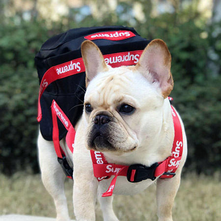 犬バック 牽引ロープ付き SUPREME