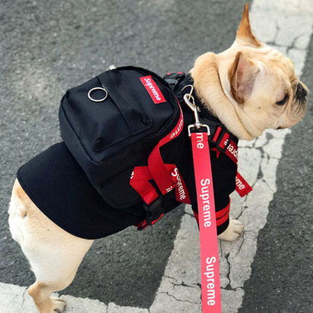 犬バック 牽引ロープ付き SUPREME