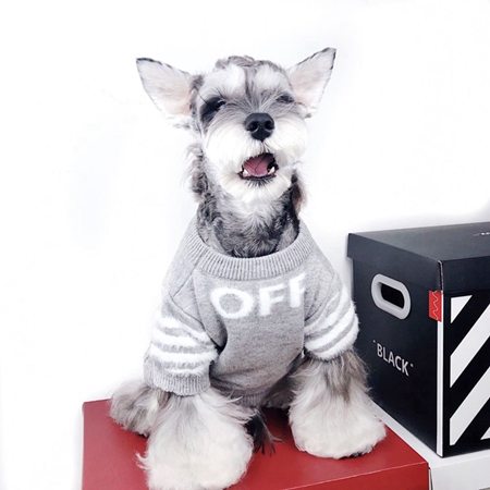 犬用セーター 暖かい ブランド