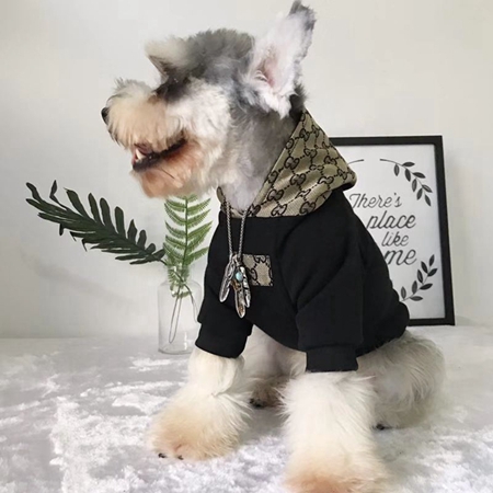 犬服 グッチ オシャレ