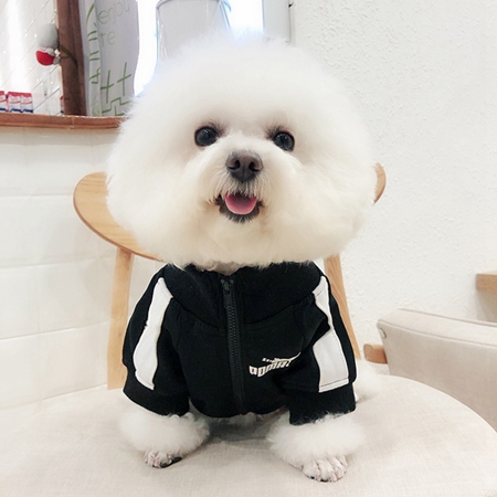 犬 ジャージ ウェアファッション