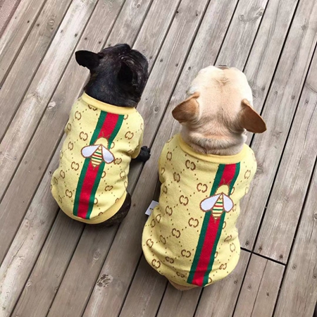 GUCCI犬服 セーター 冬