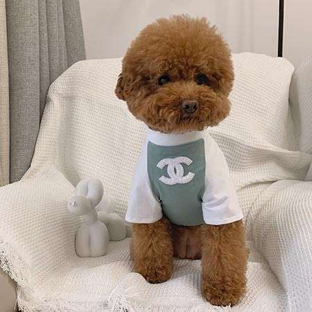 chanelオシャレ犬Tシャツ 春夏用