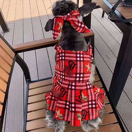 Burberry 犬の服