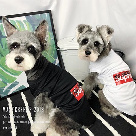 犬の服Tシャツ