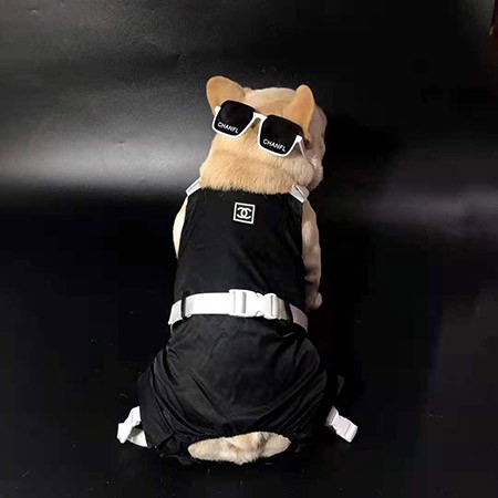 犬洋服Chanel