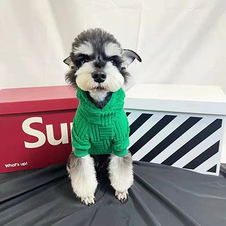 ボッテガ ヴェネタ犬洋服 コットン 送料無料