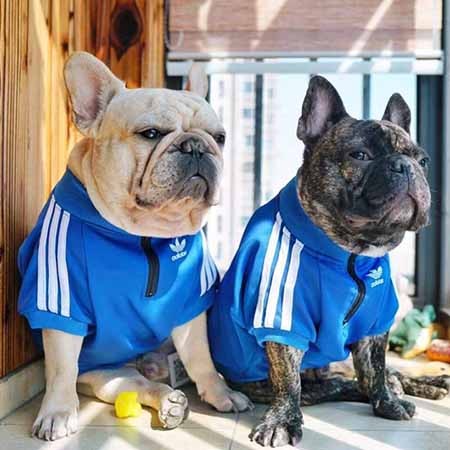 Adidas ペット用服 犬猫汎用