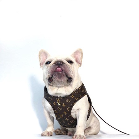 ブランド犬用リード カラー ハーネスをファッション通販-COZAKA