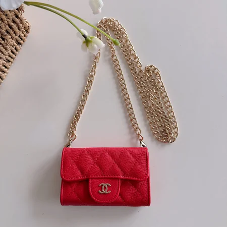 chanel シャネル アイフォン17プロ max ケース  女性