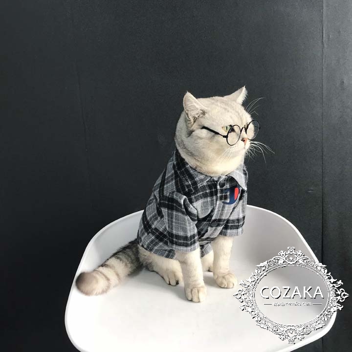 猫洋服 ブランド おすすめ