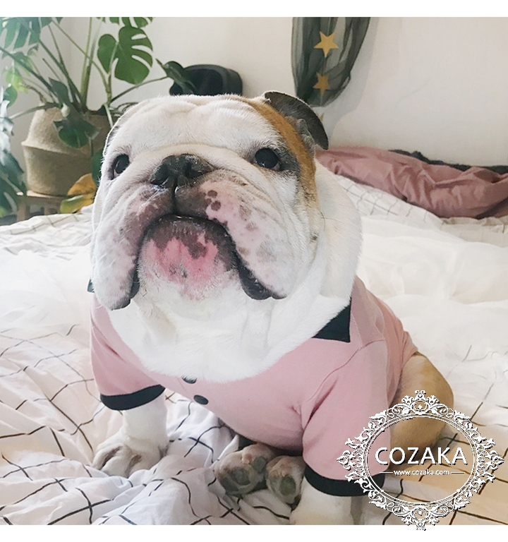 小型犬の服 オシャレ 販売